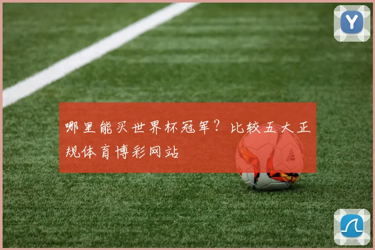 哪里能买世界杯冠军？比较五大正规体育博彩网站