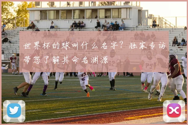 世界杯的球叫什么名字？独家专访带您了解其命名渊源