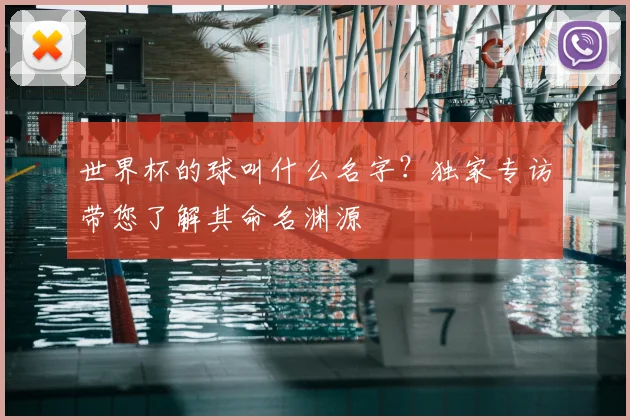 世界杯的球叫什么名字？独家专访带您了解其命名渊源