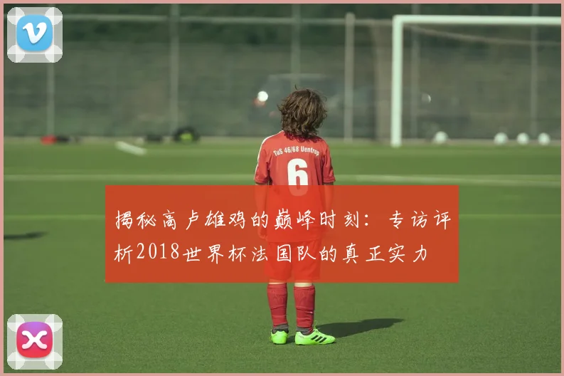 揭秘高卢雄鸡的巅峰时刻：专访评析2018世界杯法国队的真正实力