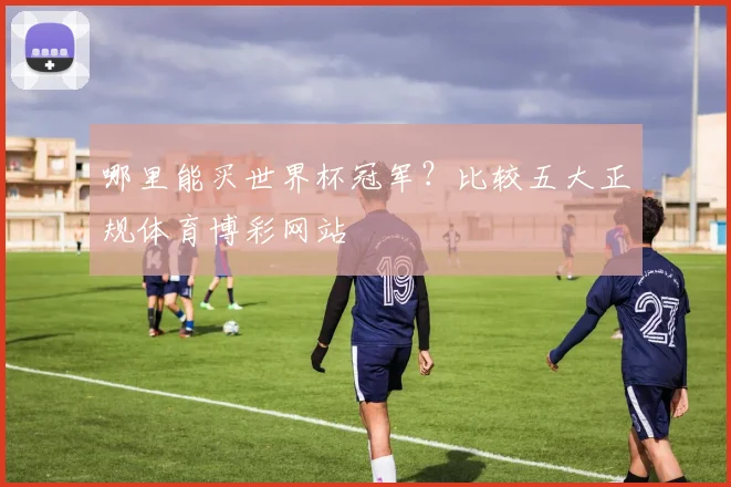 哪里能买世界杯冠军？比较五大正规体育博彩网站