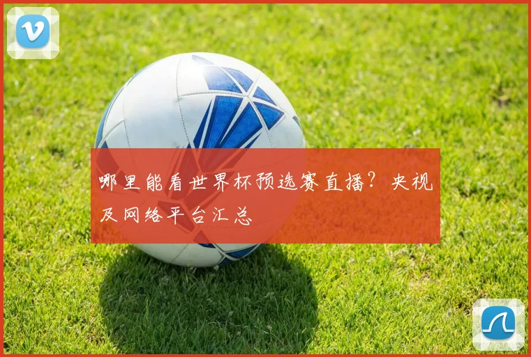哪里能看世界杯预选赛直播？央视及网络平台汇总