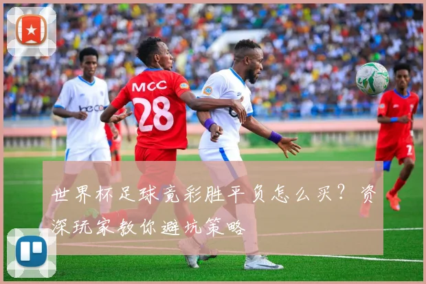 世界杯足球竟彩胜平负怎么买？资深玩家教你避坑策略