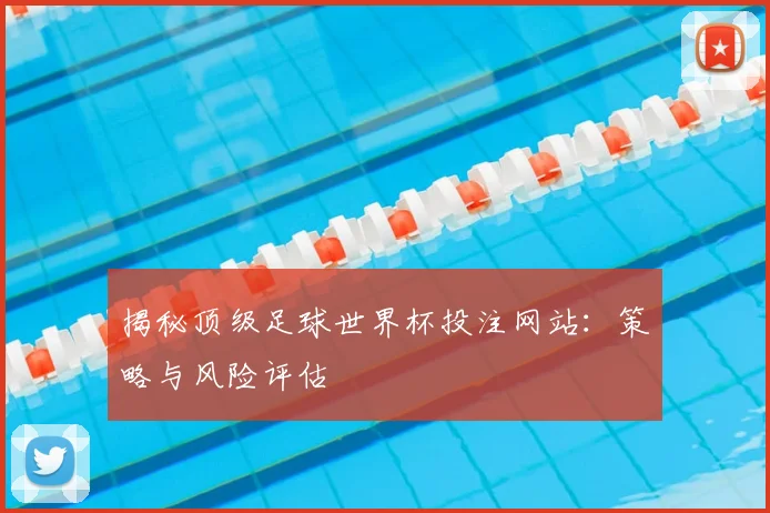 揭秘顶级足球世界杯投注网站：策略与风险评估
