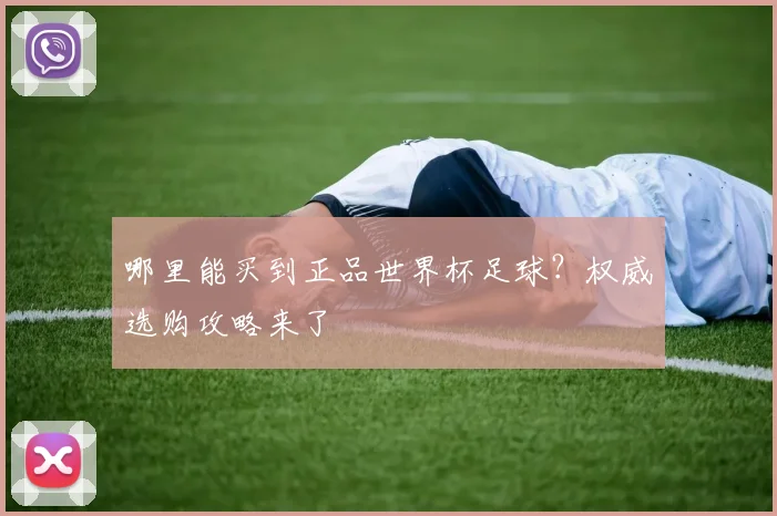 哪里能买到正品世界杯足球？权威选购攻略来了